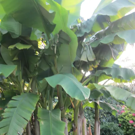 Les Charmes De Vincent - Le Loft Cabernet 4*