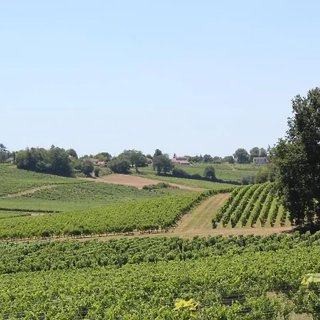 Les Charmes De Vincent - Le Loft Cabernet Nocleg ze śniadaniem Fronsac (Gironde)