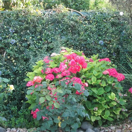 住宿加早餐酒店 Les Charmes De Vincent - Le Loft Cabernet Fronsac (Gironde)