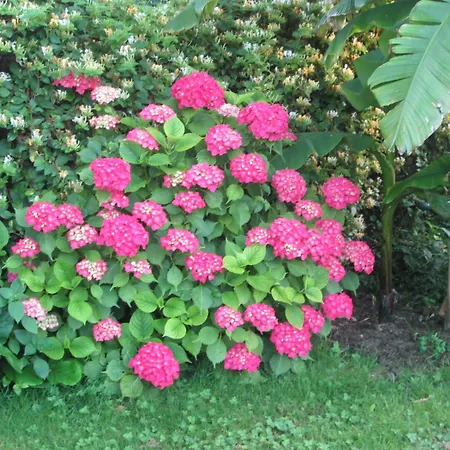 Les Charmes De Vincent - Le Loft Cabernet 4* Fronsac (Gironde)