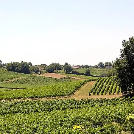فندق مبيت وإفطار Les Charmes De Vincent - Le Loft Cabernet