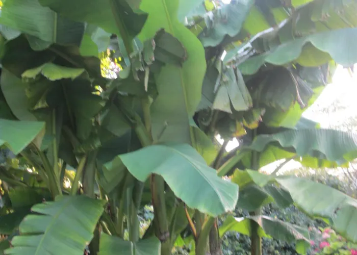 Les Charmes De Vincent - Le Loft Cabernet 4*