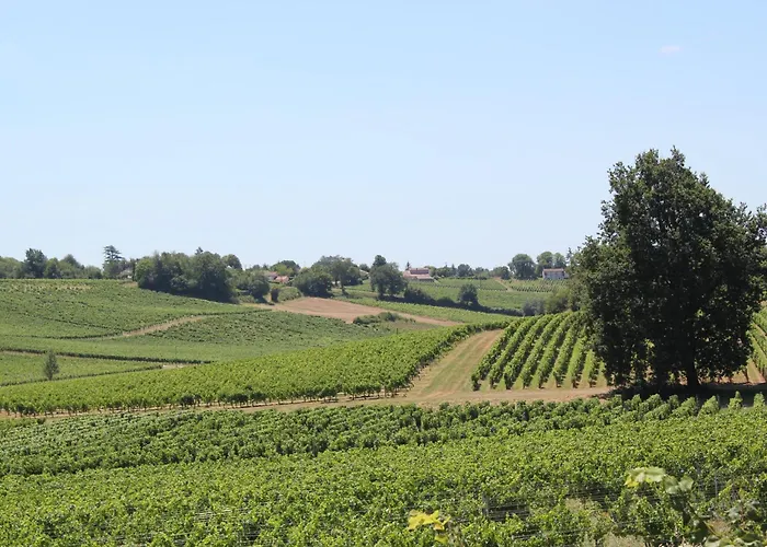Les Charmes De Vincent - Le Loft Cabernet Nocleg ze śniadaniem Fronsac (Gironde)