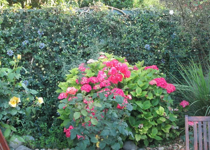 Nocleg ze śniadaniem Les Charmes De Vincent - Le Loft Cabernet Fronsac (Gironde)