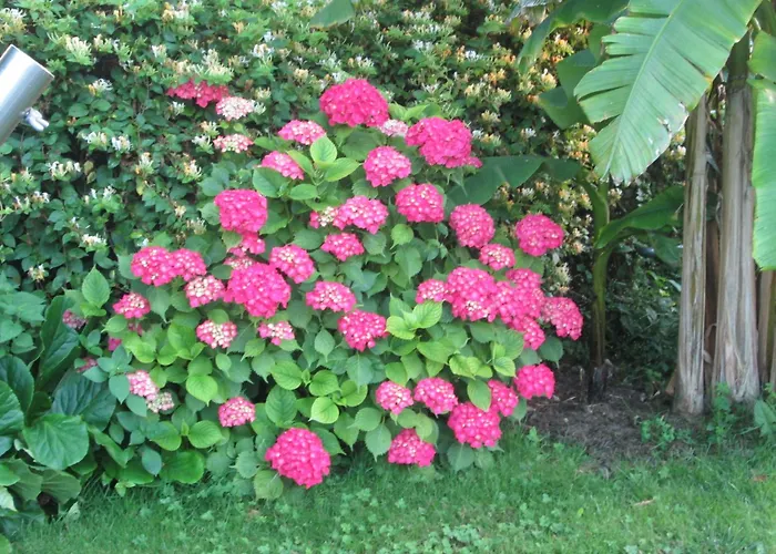 Les Charmes De Vincent - Le Loft Cabernet 4* Fronsac (Gironde)